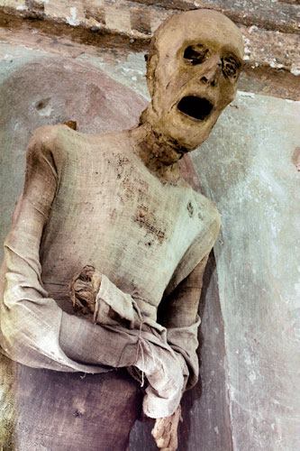 Thanks to Dr Paul Koudounaris