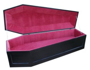 Coffin bed