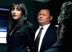 Deadly dame takes the rap from Brass and Grissom in CSI