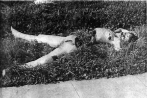 One of many scene photographs