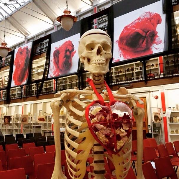 The newest member of my team in my museum...