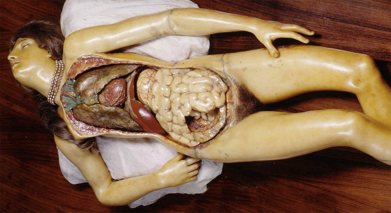 'Venerina' by Clemente Susini (1757-1814)